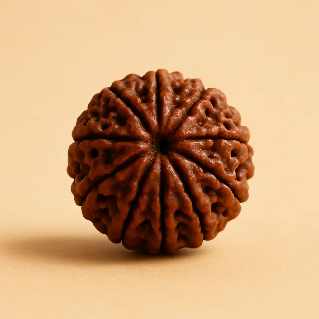 Nepal Origin 9 Mukhi Rudraksha - 17mm to 22mm